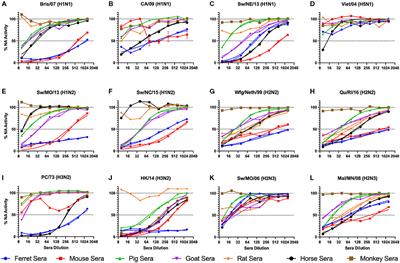 Inherent Serum Inhibition of Influenza Virus Neuraminidases